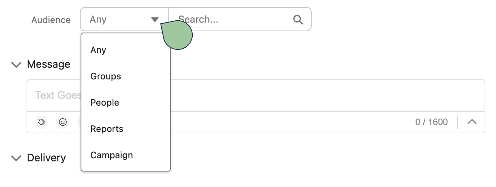 audience dropdown showing any, groups, people, reports, campaign