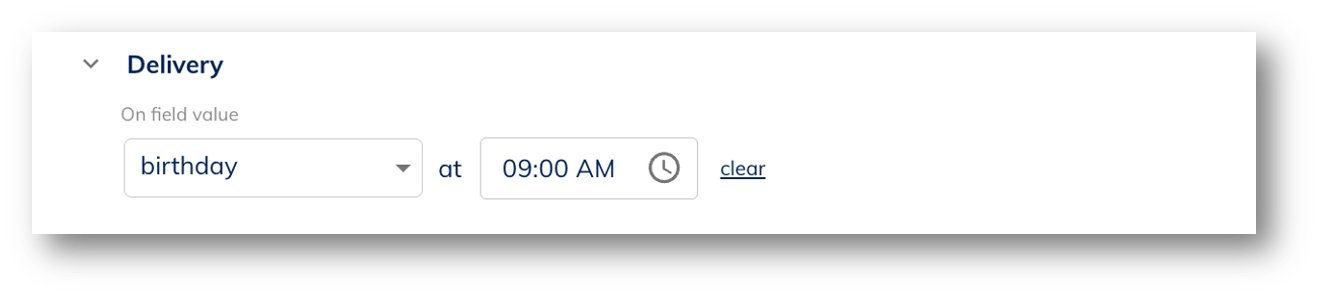 UI screenshot of delivery with field value birthday at  9am selected
