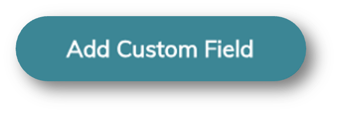 Add Custom Field button